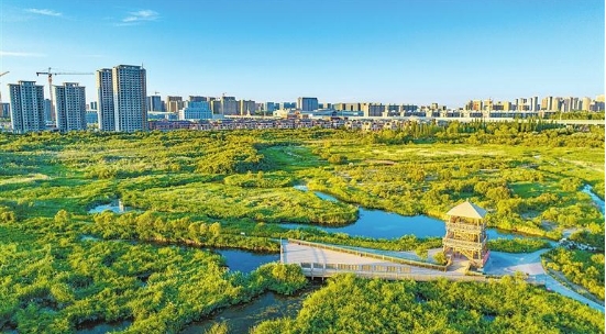 从“过境地”到“目的地”——兰州新区文旅融合高质量发展见闻