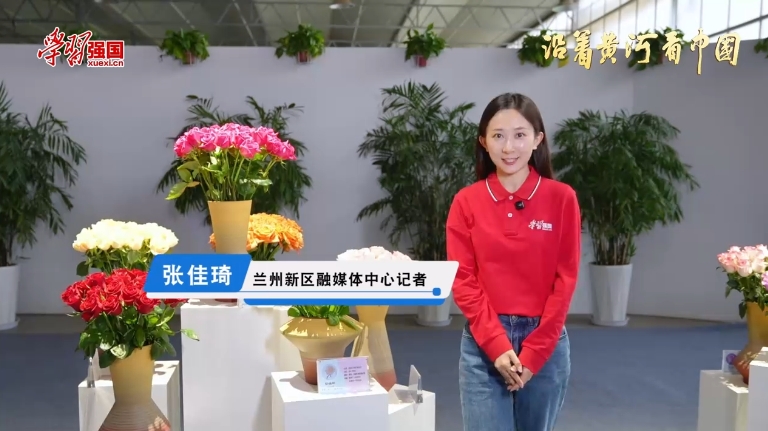 沿着黄河看中国 | 开在西北的“花样奇迹”