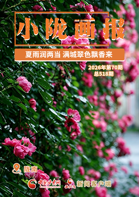 【小陇画报·518期】夏雨润两当 满城翠色飘香来