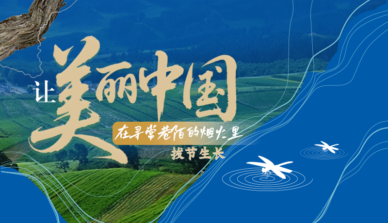 【理响中国 话陇点睛】让美丽中国在寻常巷陌的烟火里拔节生长