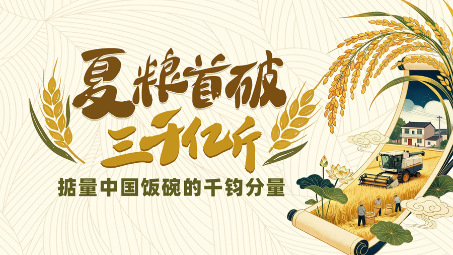 【理响中国 话陇点睛】夏粮首破三千亿斤,掂量中国饭碗的千钧分量