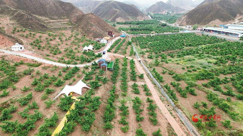 重走中国西北角|赏花采摘窑洞民宿业态,永登东沟依托丹霞盘活乡村游