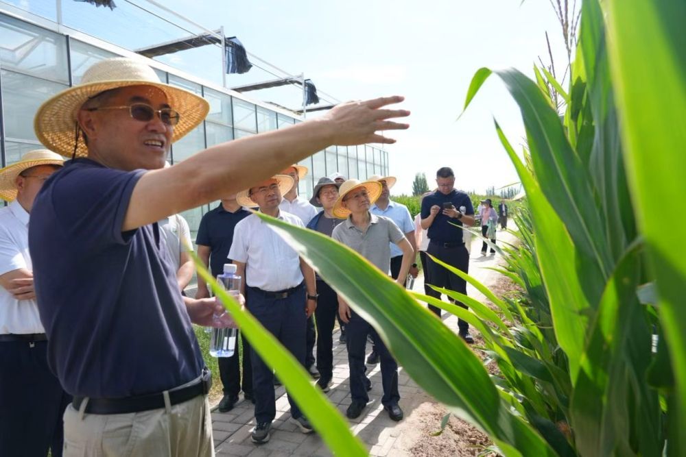 7月19日,中国工程院院士康绍忠(左一)带领与会人员在武威市实地调研。