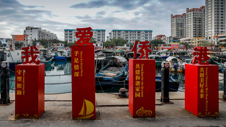 【央视快评】促进海内外中华儿女团结奋斗