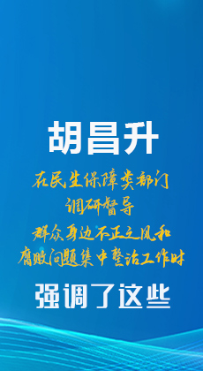 图解|胡昌升在民生保障类部门调研督导群众身边不正之风和腐败问题集中整治工作时强调了这些