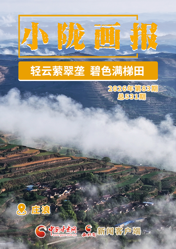 【小陇画报·531期】庄浪：轻云萦翠垄 碧色满梯田