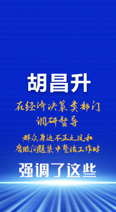 图解|胡昌升在经济决策类部门调研督导群众身边不正之风和腐败问题集中整治工作时强调了这些