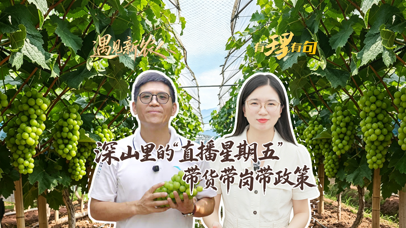 遇见新农人