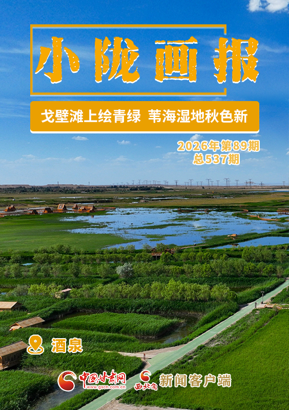 【小陇画报·537期】酒泉：戈壁滩上绘青绿 苇海湿地秋色新