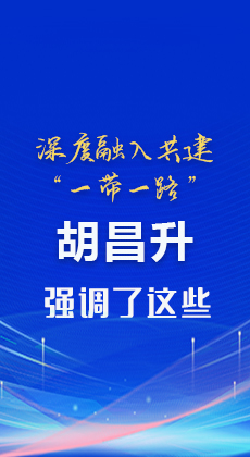 图解|深度融入共建“一带一路”胡昌升强调了这些
