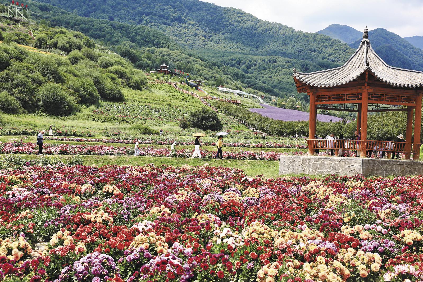 花海