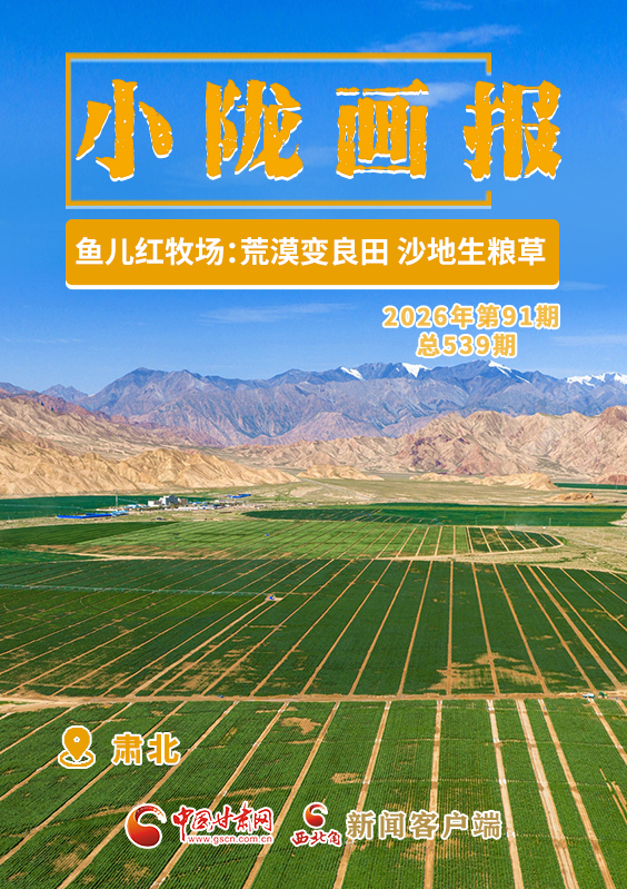 【小陇画报·539期】肃北鱼儿红牧场：荒漠变良田 沙地生粮草