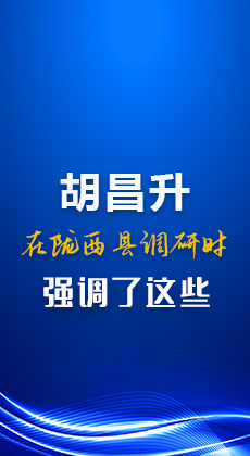 图解|胡昌升在陇西县调研时强调了这些