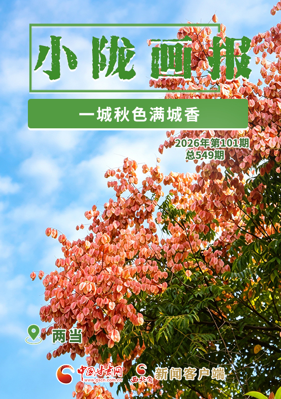 【小陇画报·549期】两当：一城秋色满城香