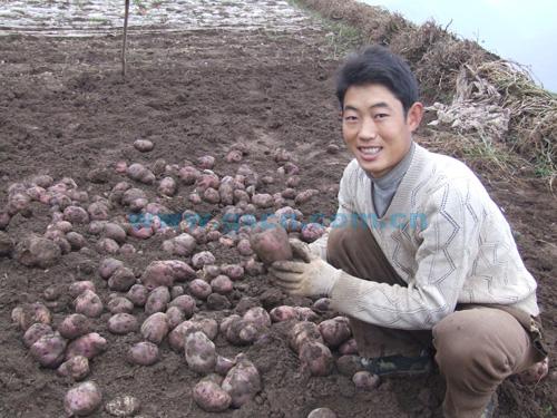 兰州确定取暖费补贴标准 低保对象每人补贴23