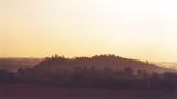 ��ͤ�������ƽ�����