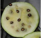 �����ز����ѹ�