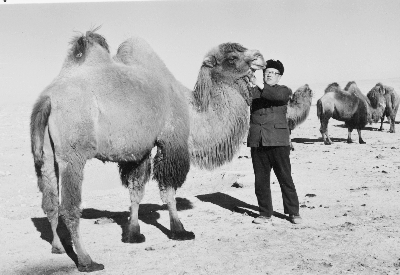 忆我国兽医产科学的奠基人陈北亨先生