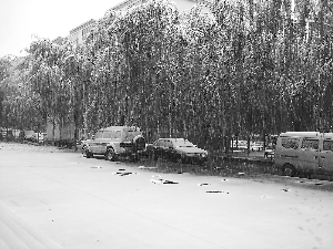 处处雨雪 陇原大地寒气袭人