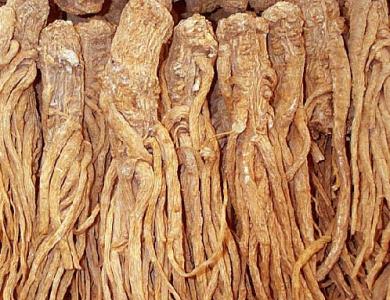 Traditional Chinese Medicinal Herbs of Longxi