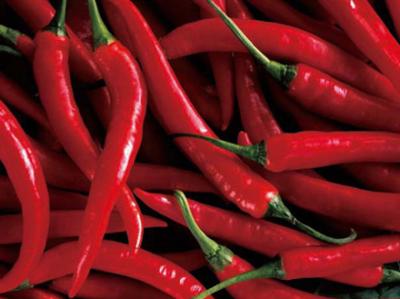 Gangu pepper