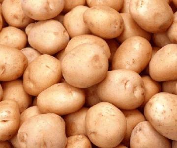 The home of potato in China -- Dingxi City in Gansu