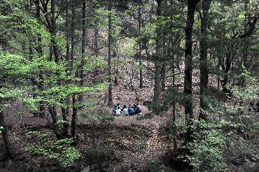 甘肃腊子口:红色加绿色+双色迎游客__中