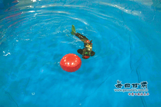 聚焦中国机器人大赛:你能踢足球我会下象棋