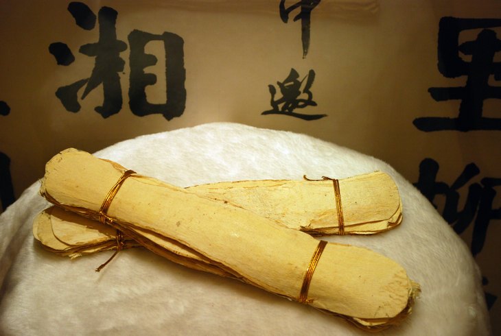 渭河源陇西黄芪