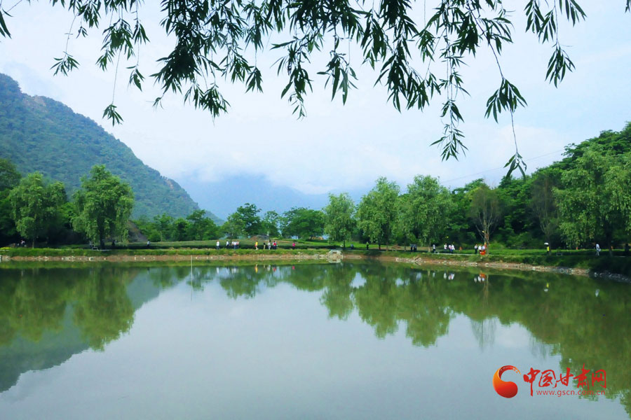 陇南文县碧口龙池坪:山水如画卷茶园满眼绿(图)