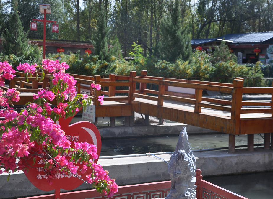 中秋风过 神泉山庄那金色的树叶