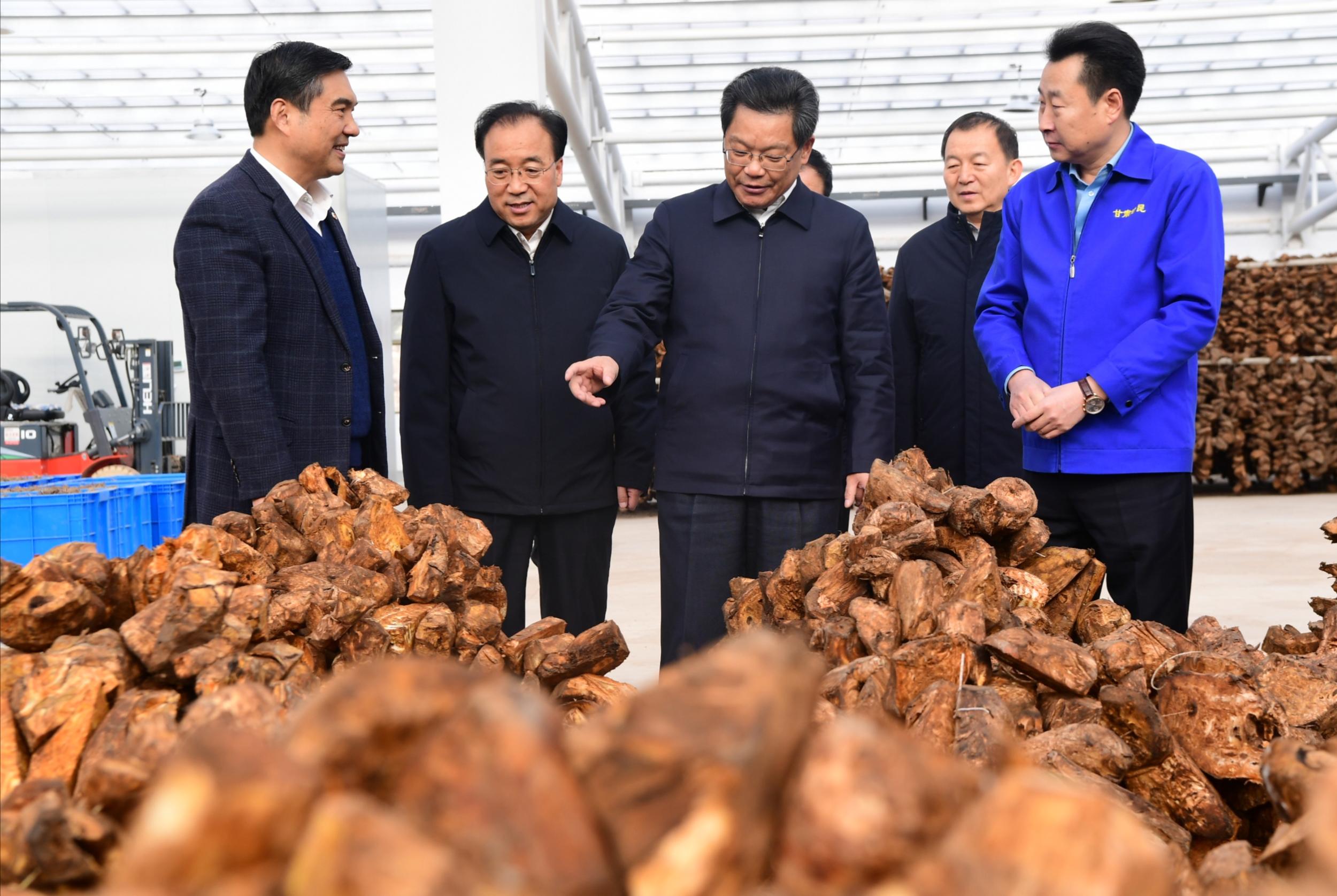 省委副书记,代省长任振鹤1月4日下午深入宕昌县哈达铺镇召藏村和两