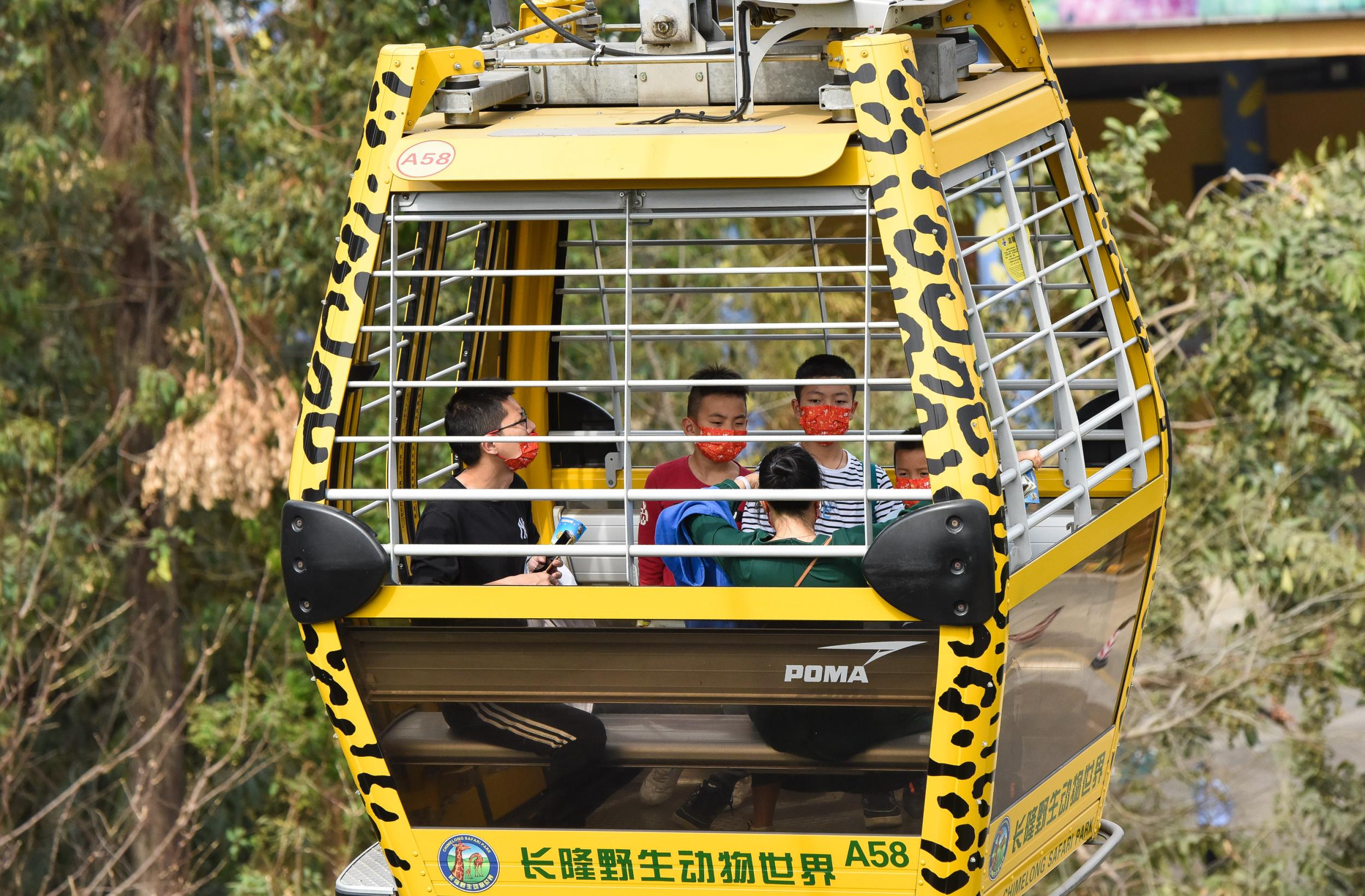 2月11日,佩戴口罩的游客在广州长隆野生动物世界乘坐空中缆车游园.