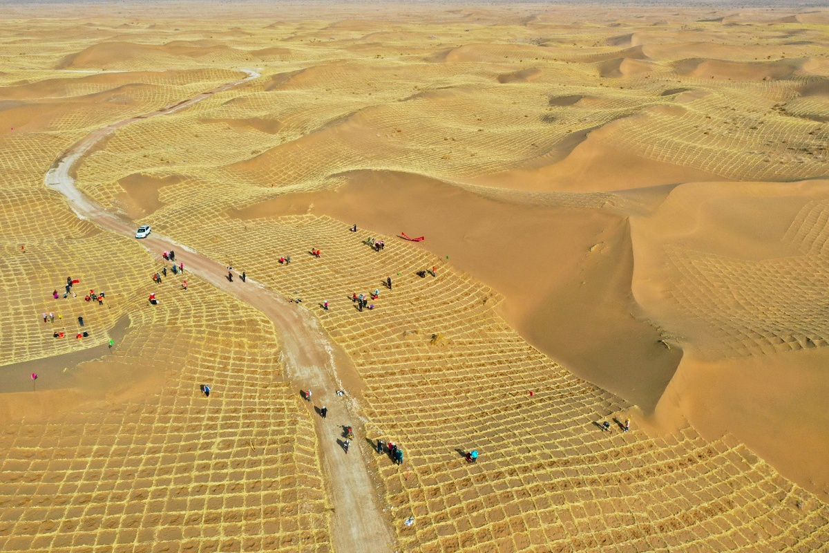 甘肃临泽:春季治沙植树帷幕拉开