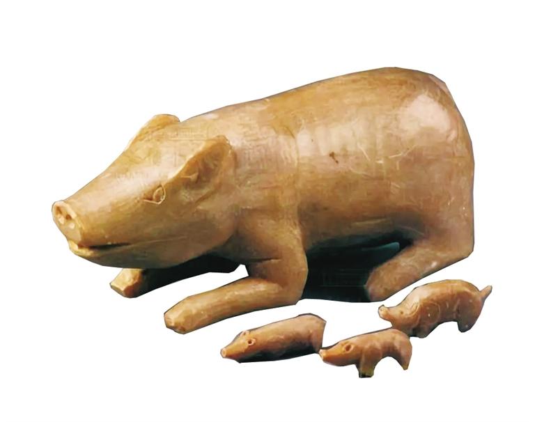 远古时代的猪图片