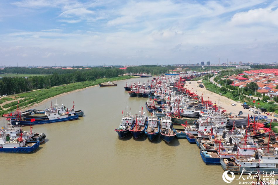 7月23日,船只在连云港市赣榆区青口中心渔港停靠避风司伟摄