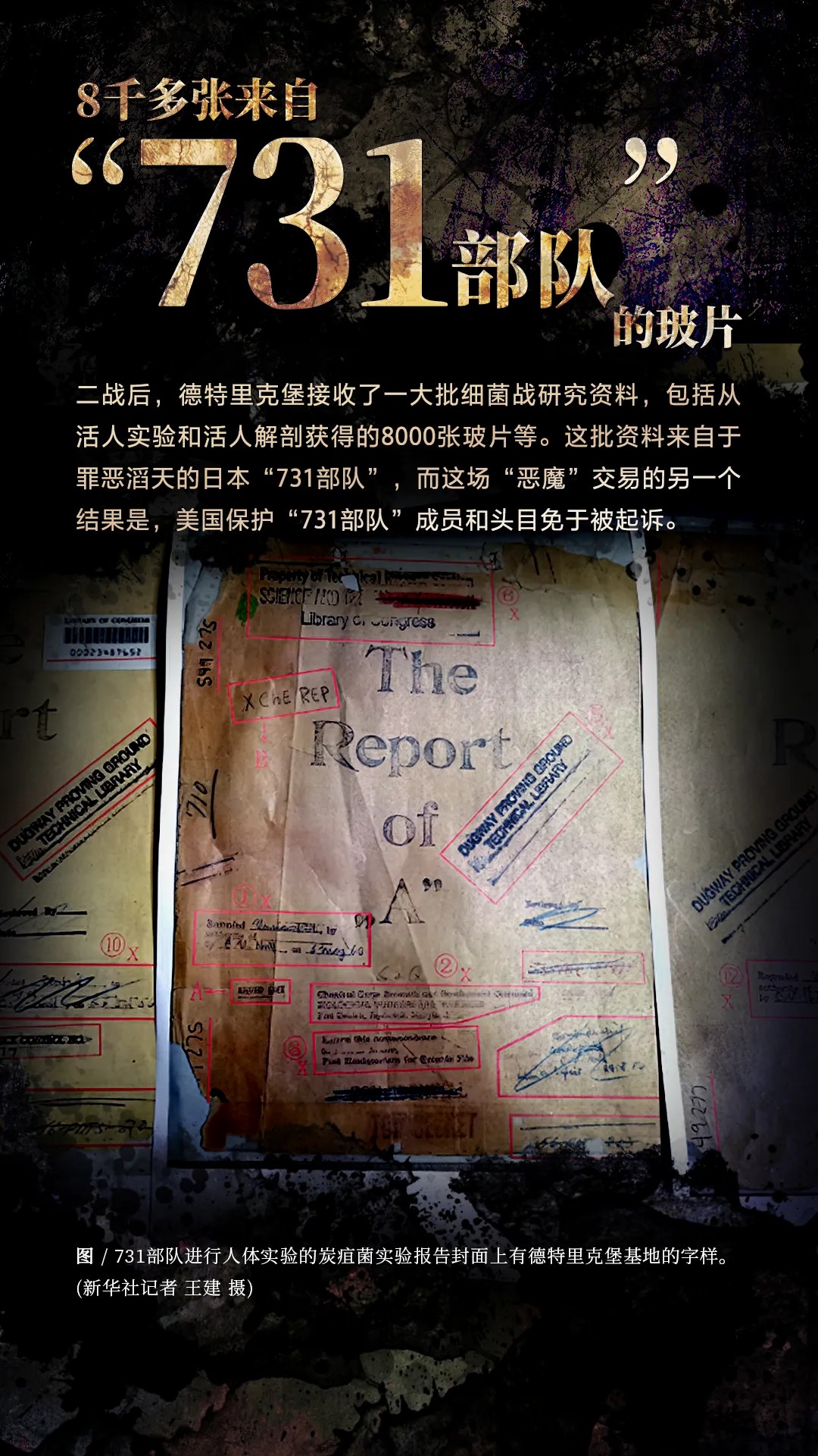 "中国网民要求世卫组织调查美国德特里克堡生物实验室联署公开信"签名