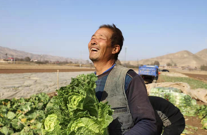 白银靖远产业喜丰收农民笑开颜