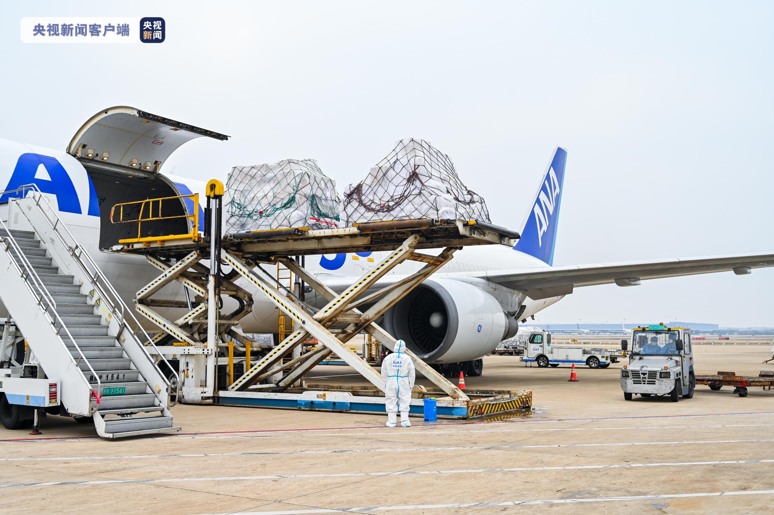 日均货运航班超百架日提货量恢复至2000吨上海空港加速运转保畅稳链