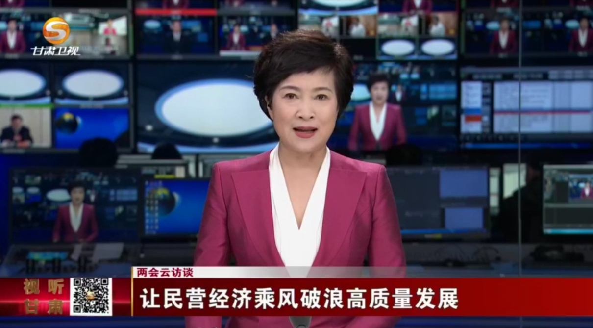让民营经济乘风破浪高质量发展