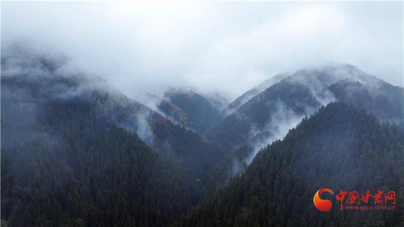 陇拍客榆中雨后兴隆山现云海胜境