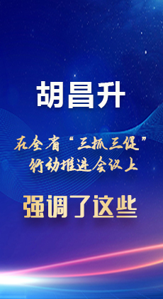 图解|胡昌升在全省“三抓三促”行动推进会议上强调了这些！