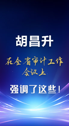 图解|胡昌升在全省审计工作会议上强调了这些！