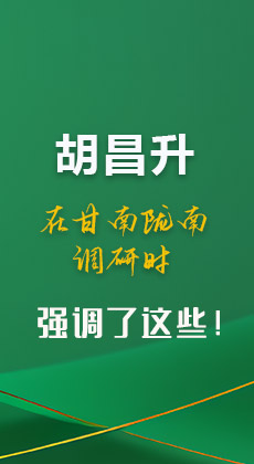 图解|胡昌升在甘南陇南调研时强调了这些！