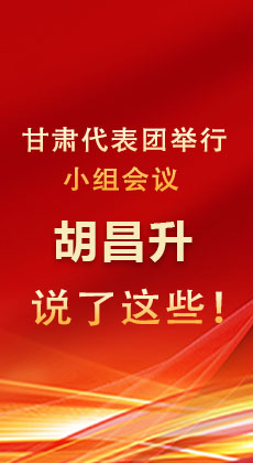 图解|甘肃代表团举行小组会议 胡昌升说了这些！