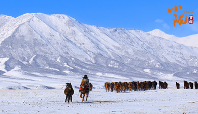雪霁山丹马场 骏马踏春入丹青