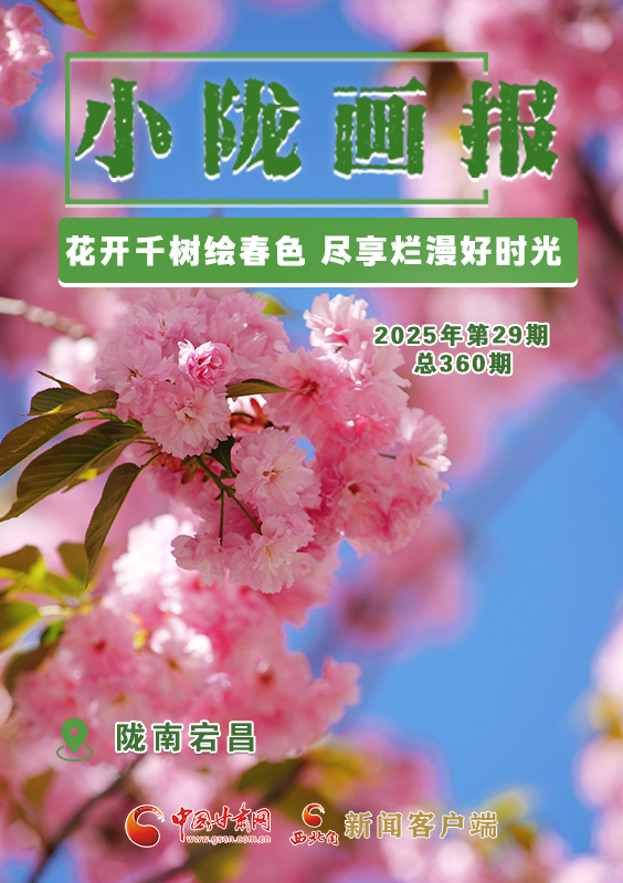 【小陇画报·360期】宕昌：花开千树绘春色 尽享烂漫好时光