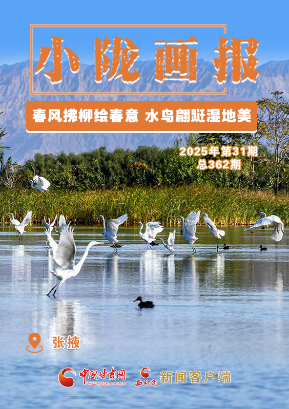 【小陇画报·362期】张掖：春风拂柳绘春意 水鸟翩跹湿地美