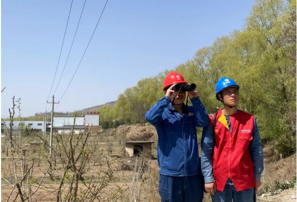 国网礼县供电公司全力保障春灌用电无忧
