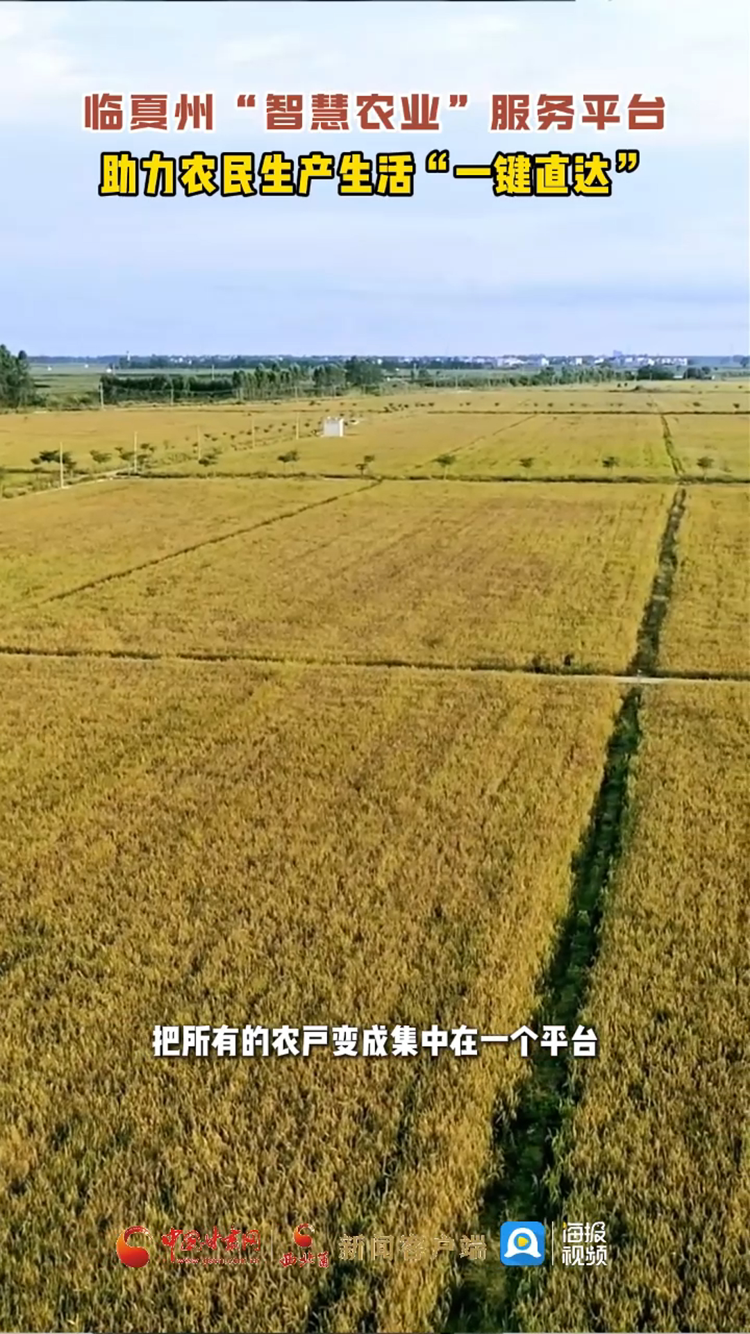 临夏州“智慧农业”服务平台 助力农民生产生活“一键直达”